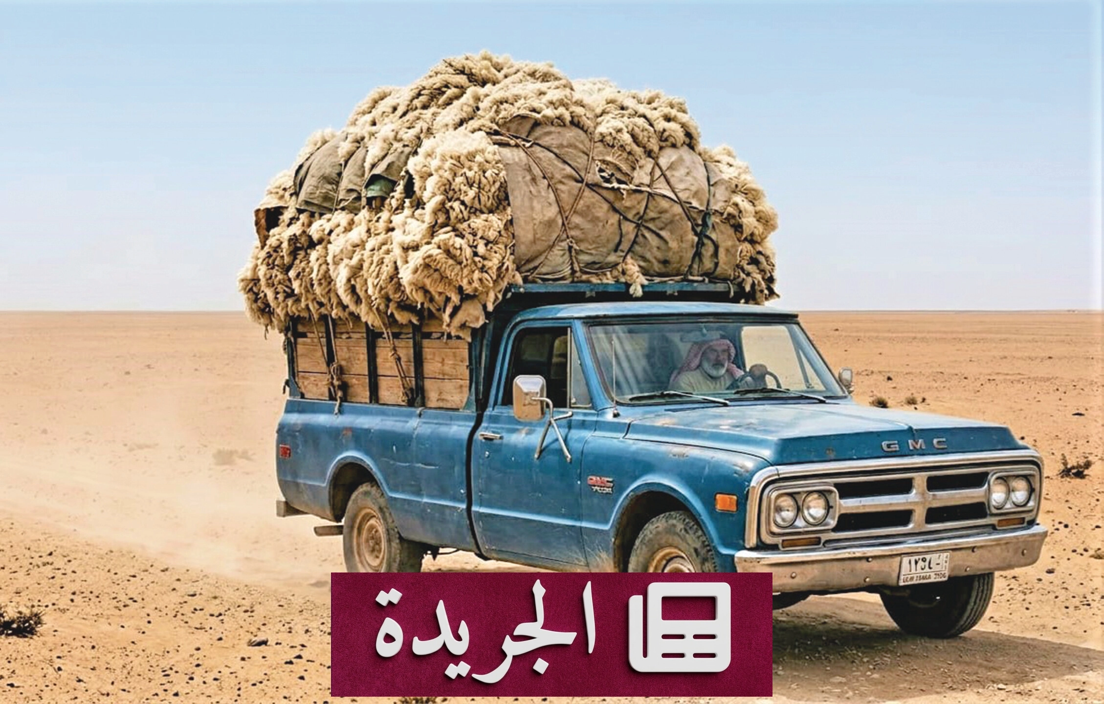 ثروة مهدرّة تهدد الاقتصاد الوطني.. كيف تحول المملكة صوف الأغنام ووبر الإبل إلى صناعة رابحة؟ - آخر الأخبار - الجريدة