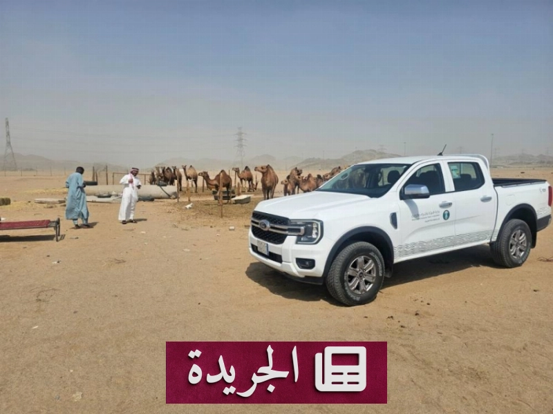 تحذيرات بيئية وصحية من بيع حليب الإبل بشكل عشوائي في مكة - آخر الأخبار - الجريدة