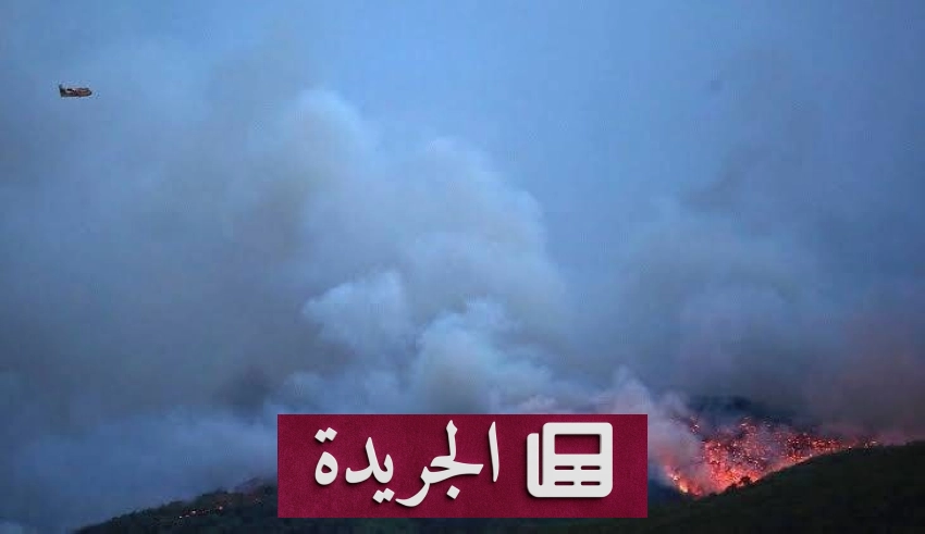 تحذيرات يونانية من اندلاع حرائق غابات في أثينا وجزر بحر إيجه - آخر الأخبار - الجريدة