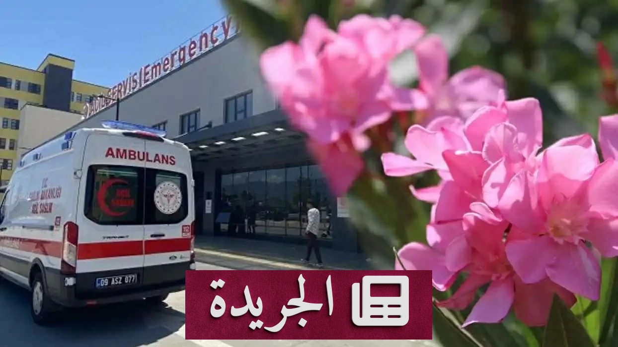 تناول وردة الدفلى يدخل رجلاً في غيبوبة بتركيا - آخر الأخبار - الجريدة