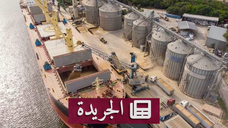 تنويع مصادر القمح يعزز استقرار أسعار المطاحن في ظل الأزمات العالمية - آخر الأخبار - الجريدة