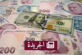 تركيا تخسر 44 مليار دولار من احتياطياتها النقدية في شهر واحد - أخبار أونلاين