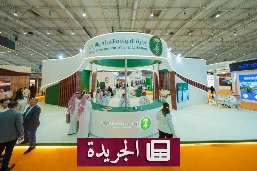 تطورات مناخية وإدارية ورياضية في المملكة - آخر الأخبار - الجريدة